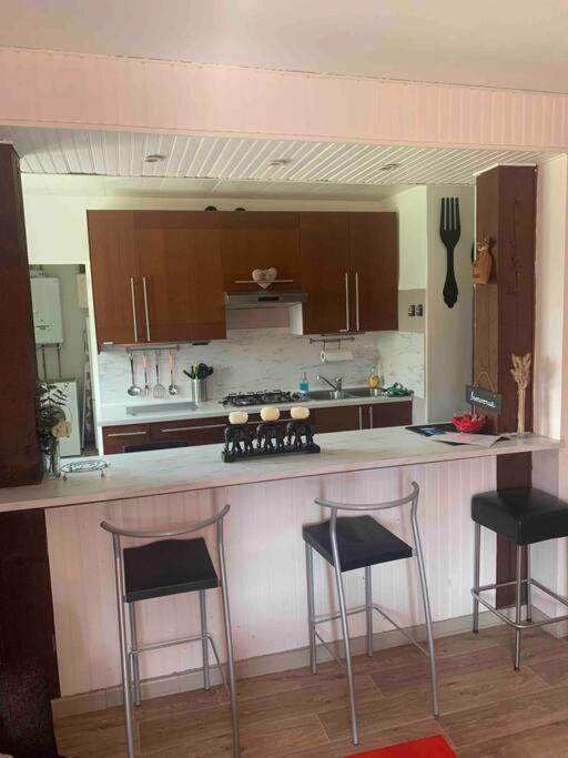 Villa 3 Chambres Parking Et Terrasse Plaisance-du-Touch Exterior foto