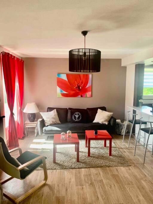 Villa 3 Chambres Parking Et Terrasse Plaisance-du-Touch Exterior foto